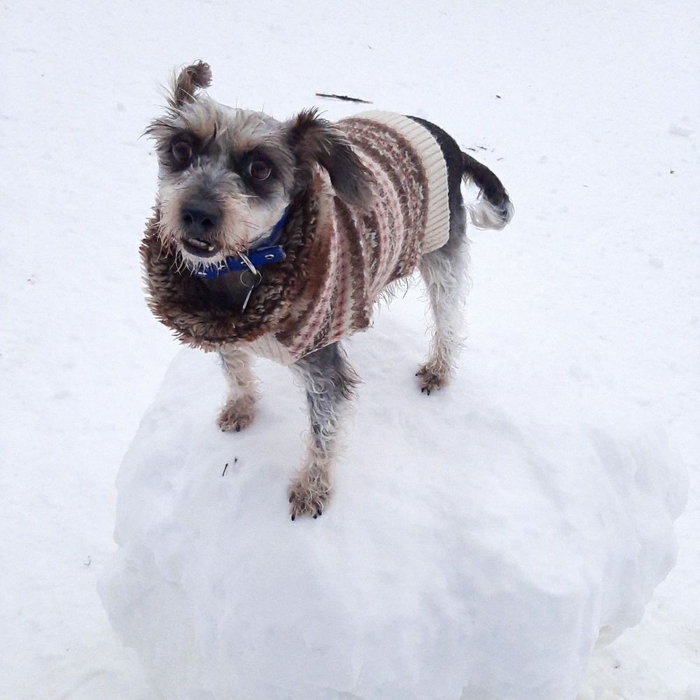 Meet your Posher, Jessi